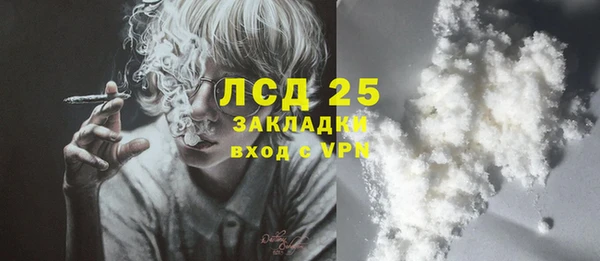 2c-b Пестово
