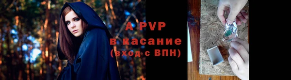 гидра Аркадак